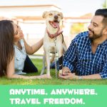 Orteza Oimmal pentru picior , destinat cainilor