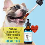 Sirop anti-tusiv, caini, Oimmal Kennel Cough, 60ml, 2 buc la preț de 1