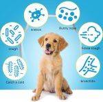 Sirop anti-tusiv, caini, Oimmal Kennel Cough, 60ml, 2 buc la preț de 1