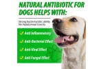 Antibiotic Natural pentru caini, Oimmal