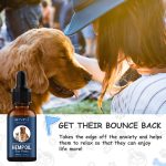 Ulei de Canabis (Canepa) Medicinal – CBD, pentru animale, 100% Natural, 1500 mg, Aliver