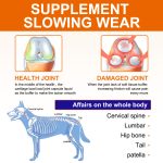 Oimmal Glucosamina Condroitina, supliment cu gust de pui pentru articulatiile cainilor si pisicilor, pernute moi, masticabile